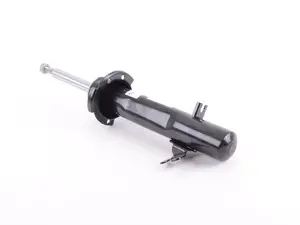 Strut Assembly - Front Right