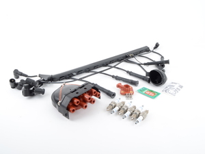 OEM Ignition Service Kit - E34 M30 3.4L