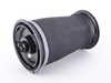 Arnott Arnott Rear Air Spring - E70 37126790080 View 2