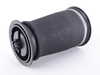 Arnott Arnott Rear Air Spring - E70 37126790080 View 3