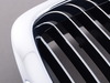 Genuine BMW Kidney Grill - Chrome - Left - E38 750il 1996-1998 51138172279 View 3