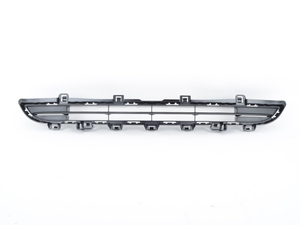 Genuine BMW Grill, Center, Upper, Open - 51117338493 - F25