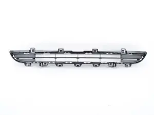 Genuine BMW Grill, Center, Upper, Open - 51117338493 - F25