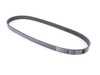 Gates Gates Accessory Belt - Air Conditioner - E46, Z3, Z4 11287830946 View 1