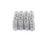 Supertech Performance Valve Springs Kit - Set of 16 Beehive Style SPR-MC56BE View 1