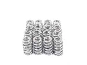 Performance Valve Springs Kit - Set of 16 Beehive Style