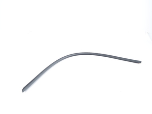 Genuine BMW Door Weatherstrip Bottom Left - 51703400815 - E83