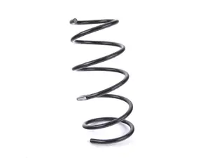 Front Coil Spring - Heavy Duty