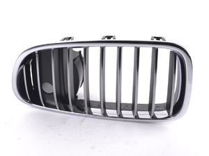 Genuine BMW Front grille - left