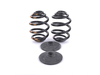 Genuine BMW Genuine BMW Set Coil Springs - 33539061590 - E30 33539061590 View 3