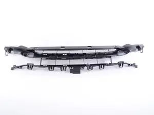 Genuine BMW Insert, Air Intake, Center