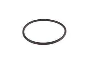 Genuine BMW O-Ring - 13541307768 - E30,E30 M3