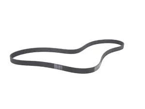 Conti Tech Accessory Belt - F10