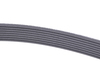 Continental Conti Tech Accessory Belt - F10 11287628658 View 2