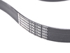 Continental Conti Tech Accessory Belt - F10 11287628658 View 3