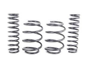 Eibach Pro-Kit Spring Set - E39 540i - (NO LONGER AVAILABLE)
