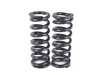 BC Racing BC Racing BR Series Extreme Low Coilovers - E82 1 M Coupe I-21E-BR View 6