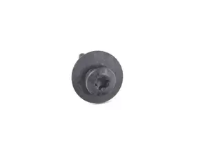 Genuine BMW Oval-head Screw With Anti-ro - 07146975296