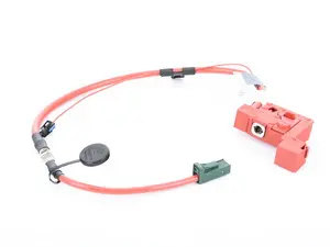 Genuine BMW Battery Cable (Plus Pole) Sbk - 61129249103 - E89