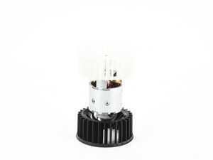 Blower Motor