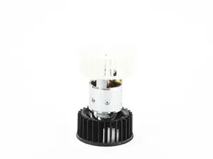 Blower Motor
