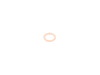 Fischer and Plath Fischer and Plath Drain Plug Sealing Washer - E46 07119963151  View 1