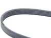 Continental Conti Tech Accessory Belt - E31, E32 11281736972 View 3