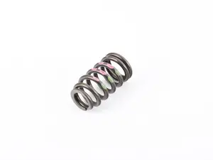 Valve Spring - Priced Each