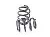 BC Racing BR Series Coilover Suspension Kit With DDC - F55/F56/F57 T-04-BR View 7
