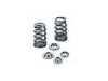 Supertech MINI W10 W11 Performance Valve Springs Kit - Single Groove SPRK-HM1007BE/MC2  SPR-HM1007BE/MC2
 SPRK-HM1007BE/MC View 2