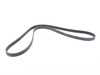 Rein Rein Accessory Belt - E70 11287803476 View 2