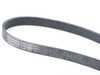 Rein Rein Accessory Belt - E70 11287803476 View 4