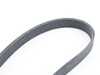Rein Rein Accessory Belt - E70 11287803476 View 1