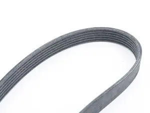 Rein Accessory Belt - E70