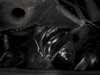 Turner Motorsport Turner Performance Polyurethane Engine Mount Set - E36, E46, E9X M3, Z3, Z4  003293TMS02 View 2