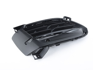 Genuine BMW Grill, Side, Closed, Left - 51117319777 - F16