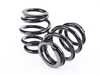 BC Racing BC Racing DS Series Coilover Kit - BMW E36 M3 I-26-DS-1 View 6