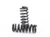 Emmanuele Design Emmanuele Design Lowering Spring Set - F80 M3 EMD-F80-LS View 7