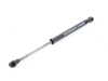 Meistersatz Meistersatz Hood Gas Strut - E53 51238402551 View 1