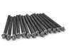 Meistersatz Meistersatz Cylinder Head Bolt Kit - E34, E36, E39, Z3 11121721938 View 1