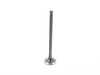 Supertech Exhaust Valve - Priced Each - head 25.20(+2.3mm) MCEVN-1010FS View 2