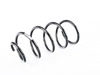 Mubea Front Coil Spring 31336767380 View 1