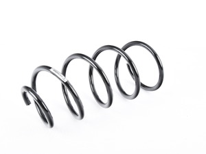 Front Coil Spring