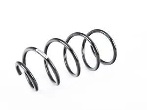 Front Coil Spring