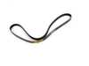 Continental Continental Accessory Belt - E34, E36 11281469261 View 3