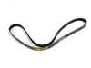Continental Continental Accessory Belt - E34, E36 11281469261 View 4