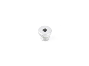 Genuine BMW Screw Plug With Gasket Ring - 24007571205