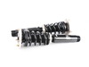 BC Racing BC Racing BR Series Coilover Suspension Kit - E90/E92 325xi 328xi 330xi 335xi  I-113-BR View 2