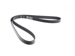Accessory Belt