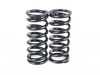 BC Racing BC Racing DS Series Coilover Kit - E39 525i 528i 530i 540i Sedan I-06-DS View 8
